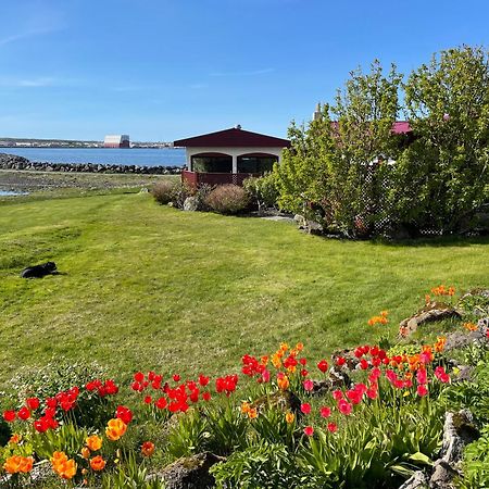 Alka - Cozy Room By The Sea With Private Hot Tub Njarthvik Buitenkant foto