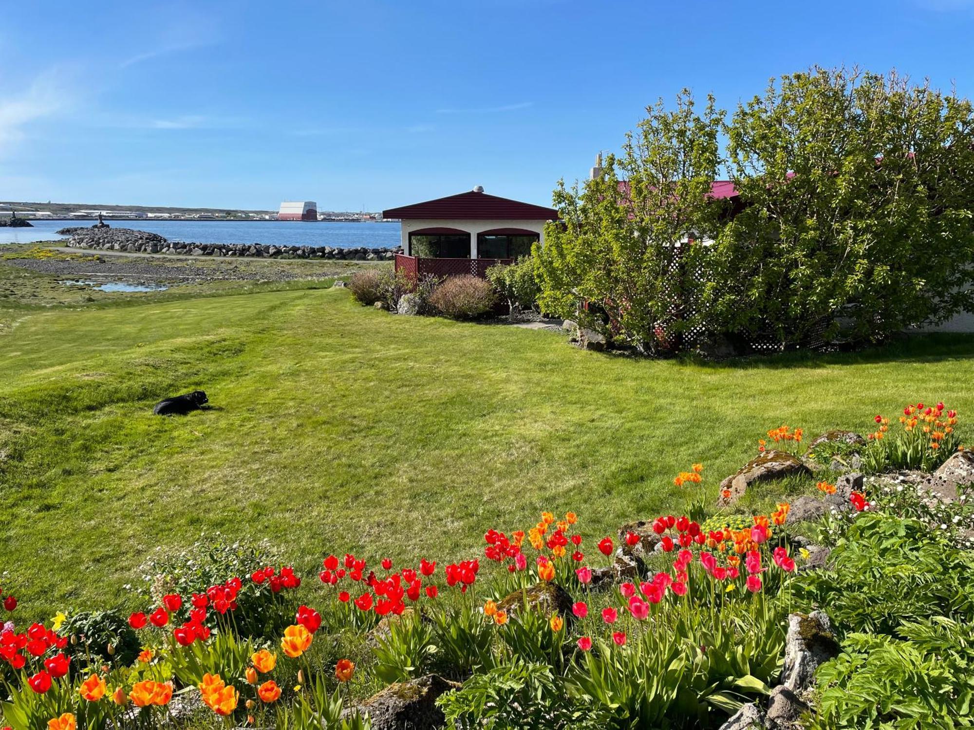 Alka - Cozy Room By The Sea With Private Hot Tub Njarthvik Buitenkant foto